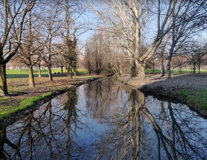 Milano zona Bisceglie: storia, presente e futuro di un'area in evoluzione 14 Parco dei fontanili Bisceglie Milano